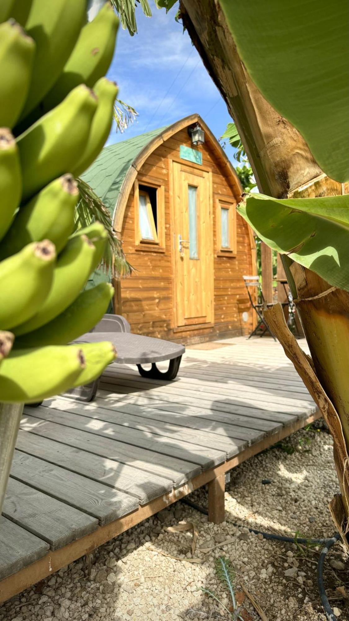Lykke Suite Spa Sauna Piscina Y Jardin Buzanada Екстериор снимка