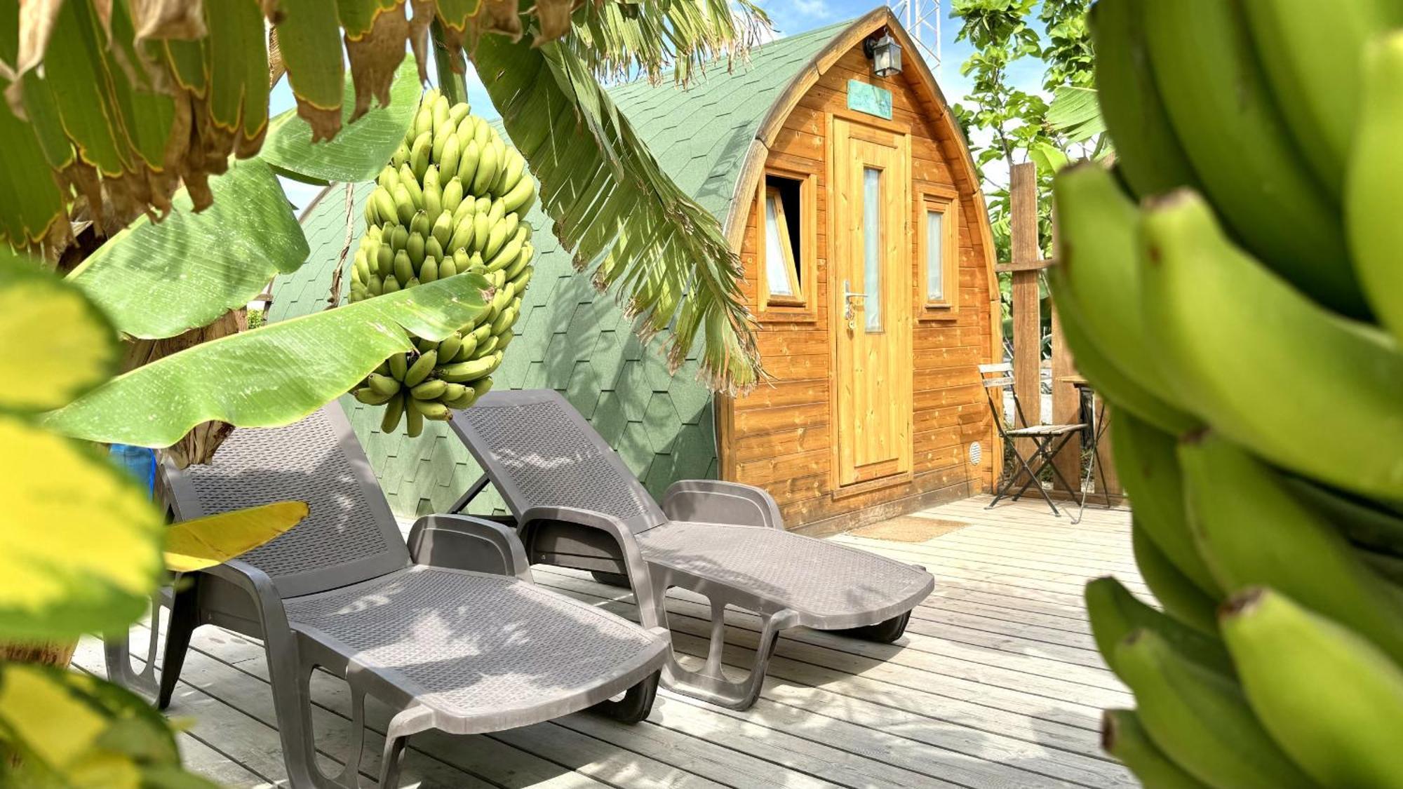 Lykke Suite Spa Sauna Piscina Y Jardin Buzanada Екстериор снимка